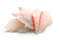 SASHIMI